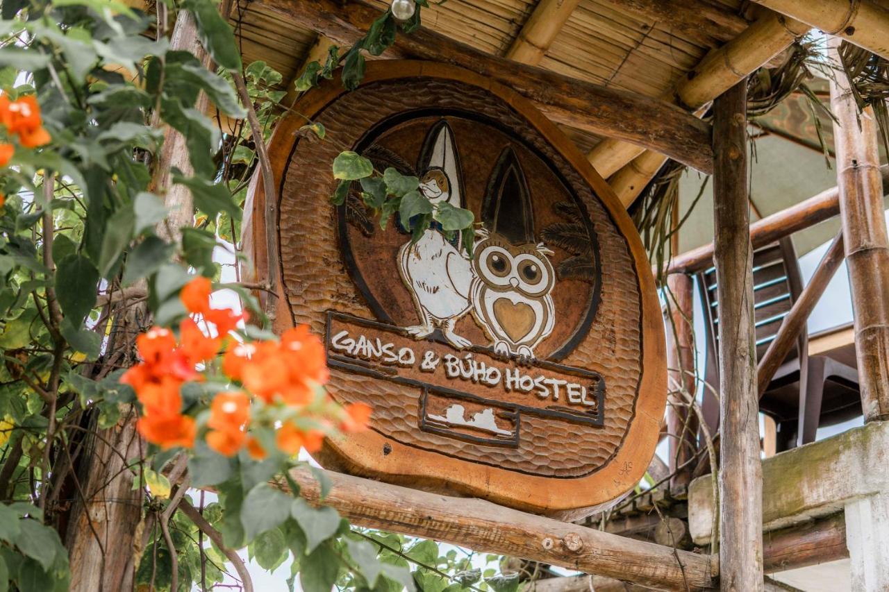 Ganso & Buho Hotel Ayampe Exterior photo